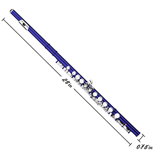Closed Hole C Flutes - Musical Instrument Beginner Student Flute with Flute Case, Stand