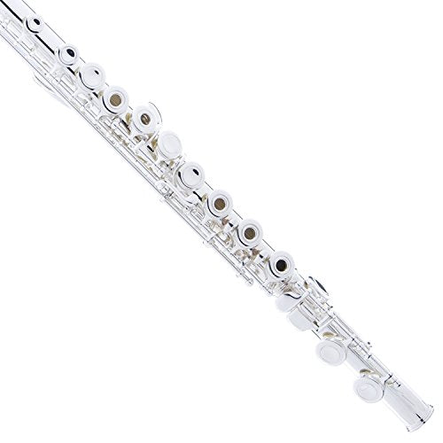 Open Hole C Flute For Beginners, 16-Key Flute with a Case, Stand, Lesson Book, and Cleaning Kit