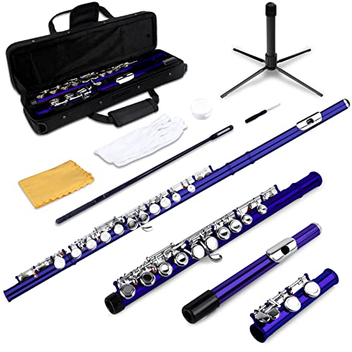 Closed Hole C Flutes - Musical Instrument Beginner Student Flute with Flute Case, Stand