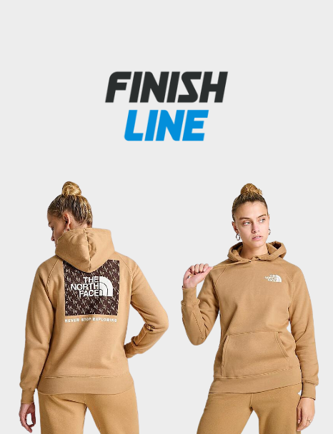 The North Face Inc Women's Box NSE Pullover Hoodie in Brown/Almond Butter