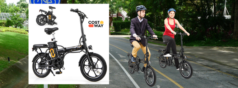 Folding Electric Bicycle with 500W Brushless Motor and Dual Disk Brakes
