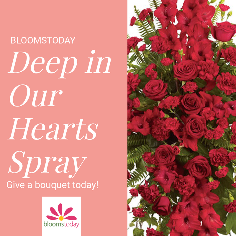 Deep in Our Hearts Spray