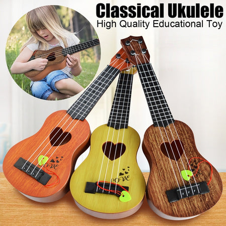 Musical Instrument/Accessories