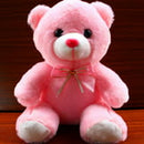 Light up Colorful LED Teddy Bear Stuffed Animal Soft Plush Toy Valentines Day Gift