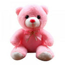 Light up Colorful LED Teddy Bear Stuffed Animal Soft Plush Toy Valentines Day Gift