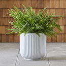 Better Homes & Gardens 16"W x 16"L x 15.8"H Ellan White Resin Plant Pot Planter