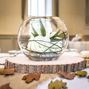 Pllieay 5Pcs 9-11 Inch Natural Poplar Wood Slices for Centerpieces, Large Wood Slice Ornaments for Crafts Coasters Cupcake Stand, Pyrography, Painting and Other DIY Projects