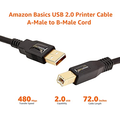 Amazon Basics USB-A to USB-B 2.0 Cable with 480 Mbps Transfer Speed for Printer or External Hard Drive, Gold-Plated Connectors, 6 Foot, Black