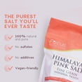 Focus Nutrition, Himalayan Pink Salt, 80 Packets, 2 lb Resealable Bag