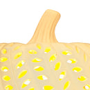 Harvest Pre-Lit White Ceramic Pumpkin Decoration, 8 in, by Way To Celebrate