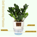 Vanavazon 6 Inch Self Watering Planter Pots for Indoor Plants, 3 Pack African Violet Pots with Wick Rope-White