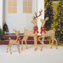 Set of 3 Light-up Glitter Deer Family with 210 Clear Incandescent Christmas Lights,
