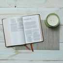 NRSV Catholic Edition Gift Bible, Teal Leathersoft (Comfort Print, Holy Bible, Complete Catholic Bible, NRSV CE): Holy Bible