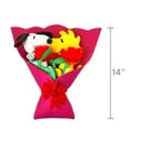 Peanuts, Snoopy and Woodstock Plush Valentine's Bouquet, Multi-Color, All Ages
