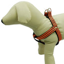Adjustable Reflective Dog Harness -Assorted Colors