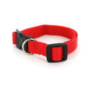 Adjustable Nylon Dog Collar