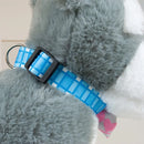 Adjustable Dog Collar with Plaid Design