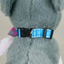 Adjustable Dog Collar with Plaid Design
