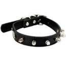 Spiked Dog Collar