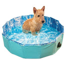 Dog Swimming Pool