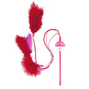 Cat Teaser Wand with Feathers
