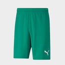 Puma Men's teamRISE Soccer Shorts in Green/Pepper Green