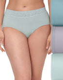 Bali Modern Seamless Lace Trim Brief Underwear, 3-Pack Blue Patina/Purple Iris/Glass Blown