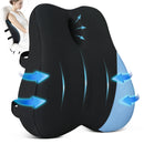 KingPavonini Lumbar Support Pillow for Office Chair, Cooling Memory Foam with Dual Extension Straps