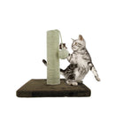 Cat Scratch & Play Post