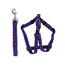 Cheetah Print Dog Leash & Adjustable Harness