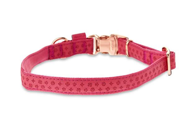 Vibrant Life Embossed Adjustable Dog Collar, Raspberry Pink, M