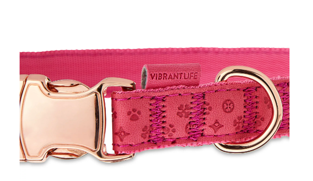 Vibrant Life Embossed Adjustable Dog Collar, Raspberry Pink, M