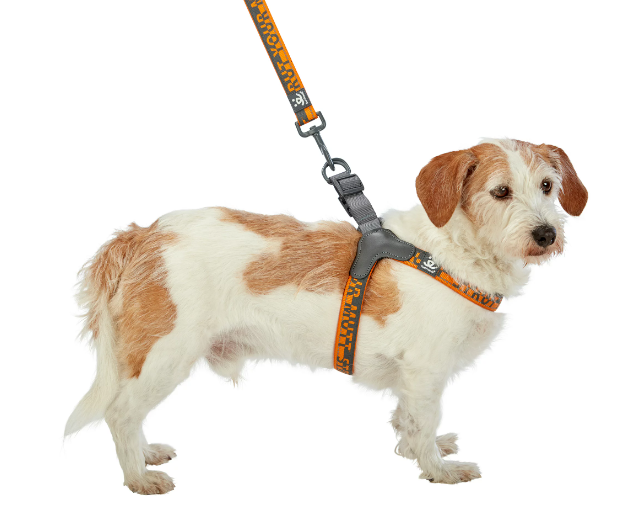 Best Friends Dog Harness-Neoprene Comfort Liner-Orange and Gray, Small