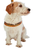 Best Friends Dog Harness-Neoprene Comfort Liner-Orange and Gray, Small