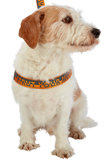 Best Friends Dog Harness-Neoprene Comfort Liner-Orange and Gray, Small