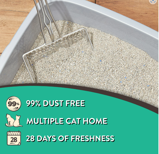 Special Kitty Odor Control Tight Clumping Cat Litter, Fresh Scent, 20 lb