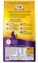 Wellness Complete Health Grain Free Senior Dry Cat Food, 5 Pound Bag