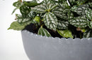 Better Homes & Gardens Pottery 8" Thalea Ceramic Scalloped Bowl with Stand, Grey