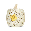 Harvest Pre-Lit White Ceramic Pumpkin Decoration, 8 in, by Way To Celebrate