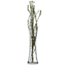 Libbey Clear Glass Sabrina Bud Vase, 1 Each