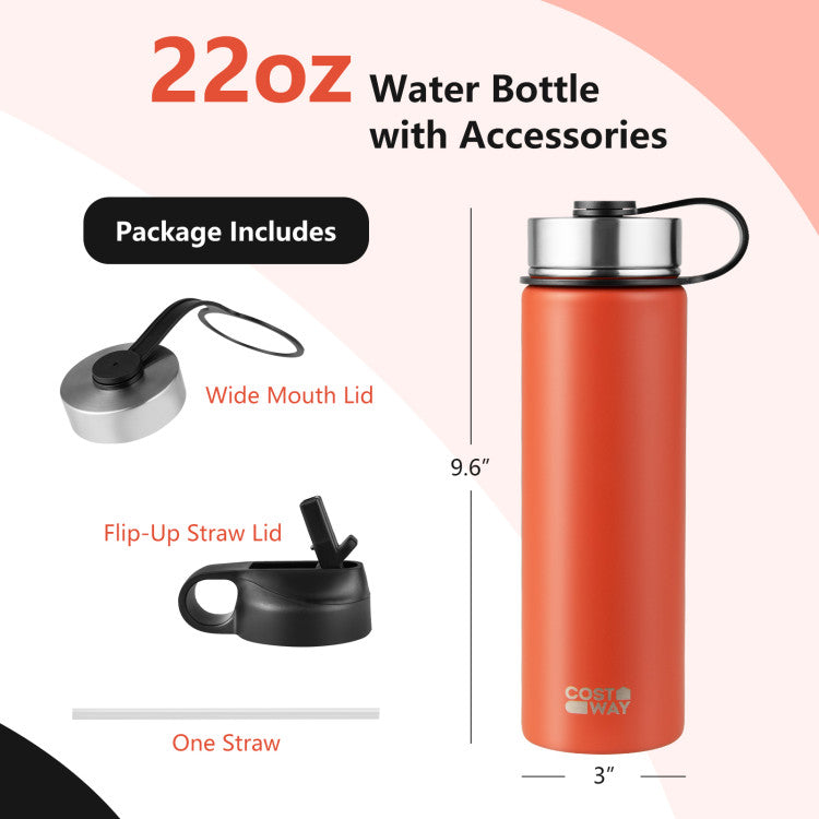 22 Oz Double-walled Insulated Stainless Steel Water Bottle with Straw Lid