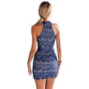 Jewel Neck Sleeveless Zippered Lace Mini Dress for Ladies