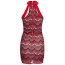 Jewel Neck Sleeveless Zippered Lace Mini Dress for Ladies