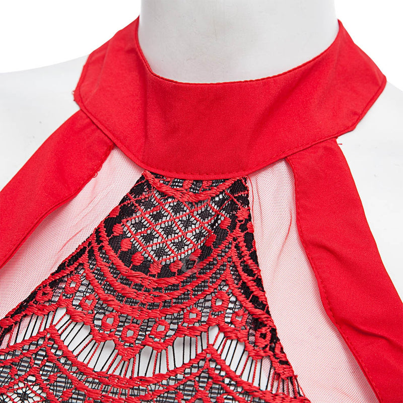 Jewel Neck Sleeveless Zippered Lace Mini Dress for Ladies
