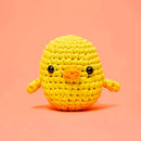Crochet Kit for Complete Beginners with Step-by-Step Video Tutorials