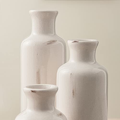 Ceramic Vases Set of 3 for Home Decor, Chinese Classical and Gorgeous