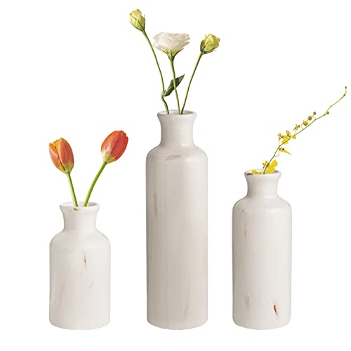 Ceramic Vases Set of 3 for Home Decor, Chinese Classical and Gorgeous