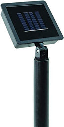 Solar Paw Print Outdoor Lights, Black