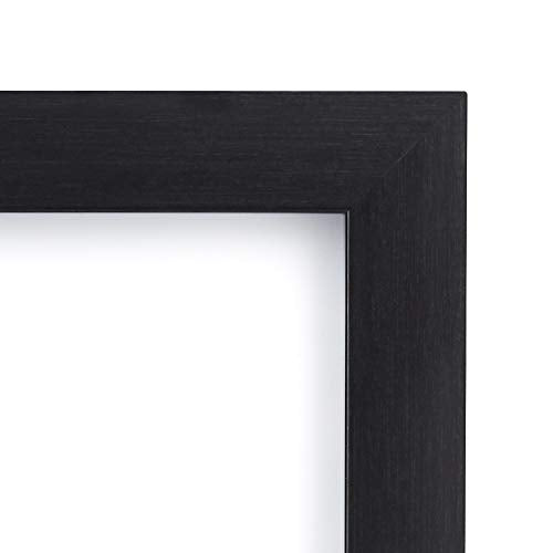 Amazon Basics Photo Picture Frame, Black, 8" x 10" Inch (Pack of 2)