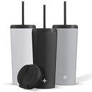 Triple Insulated 20oz Tumbler with Lid and Straw (2 Each) Vacuum Double Wall Stainless